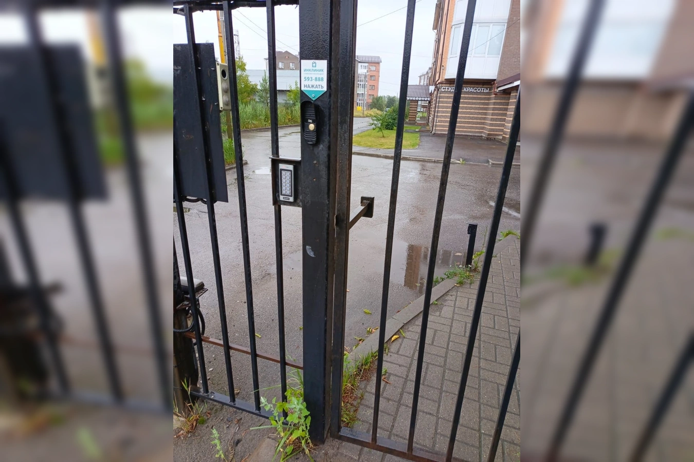 Снять квартиру посуточно в ЖК Галимов Ярославль (1-я Веткинская ул., 3) 3