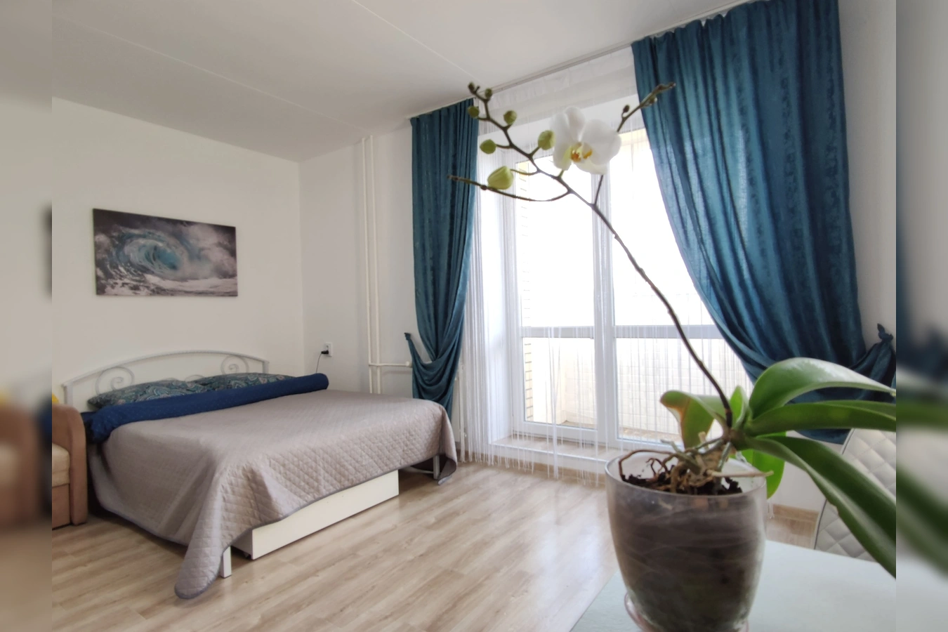 Снять квартиру посуточно у Московского вокзала (проспект Фрунзе, 14) 5