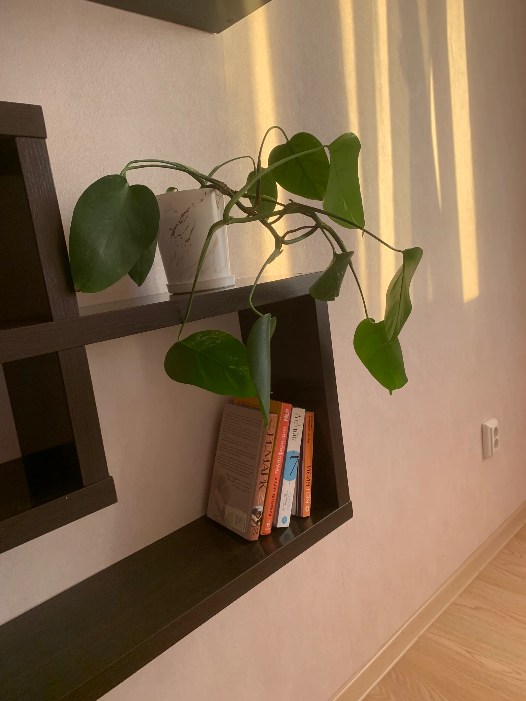 Снять двухкомнатную смарт-квартиру в Уфе с джакузи Посуточно 23