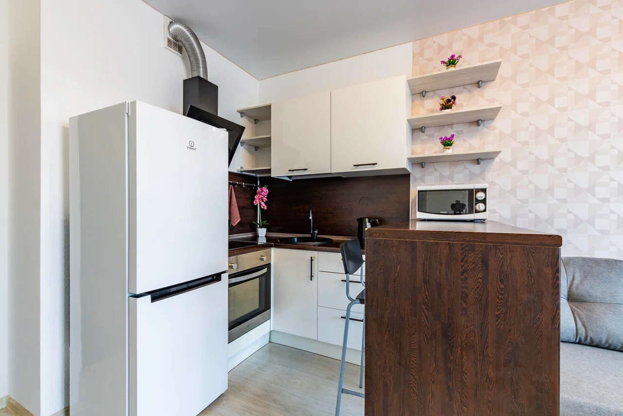 Снять студию в Екатеринбурге у УрФУ (УПИ) и Дендропарка Посуточно 2