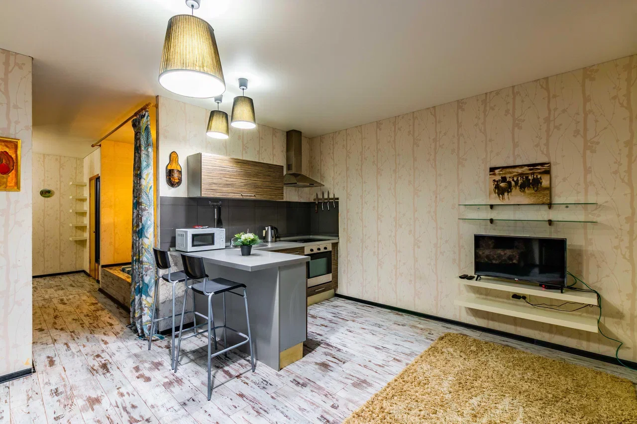 Снять квартиру-студию в Екатеринбурге, м. Чкаловская, Южный Автовокзал Посуточно 5