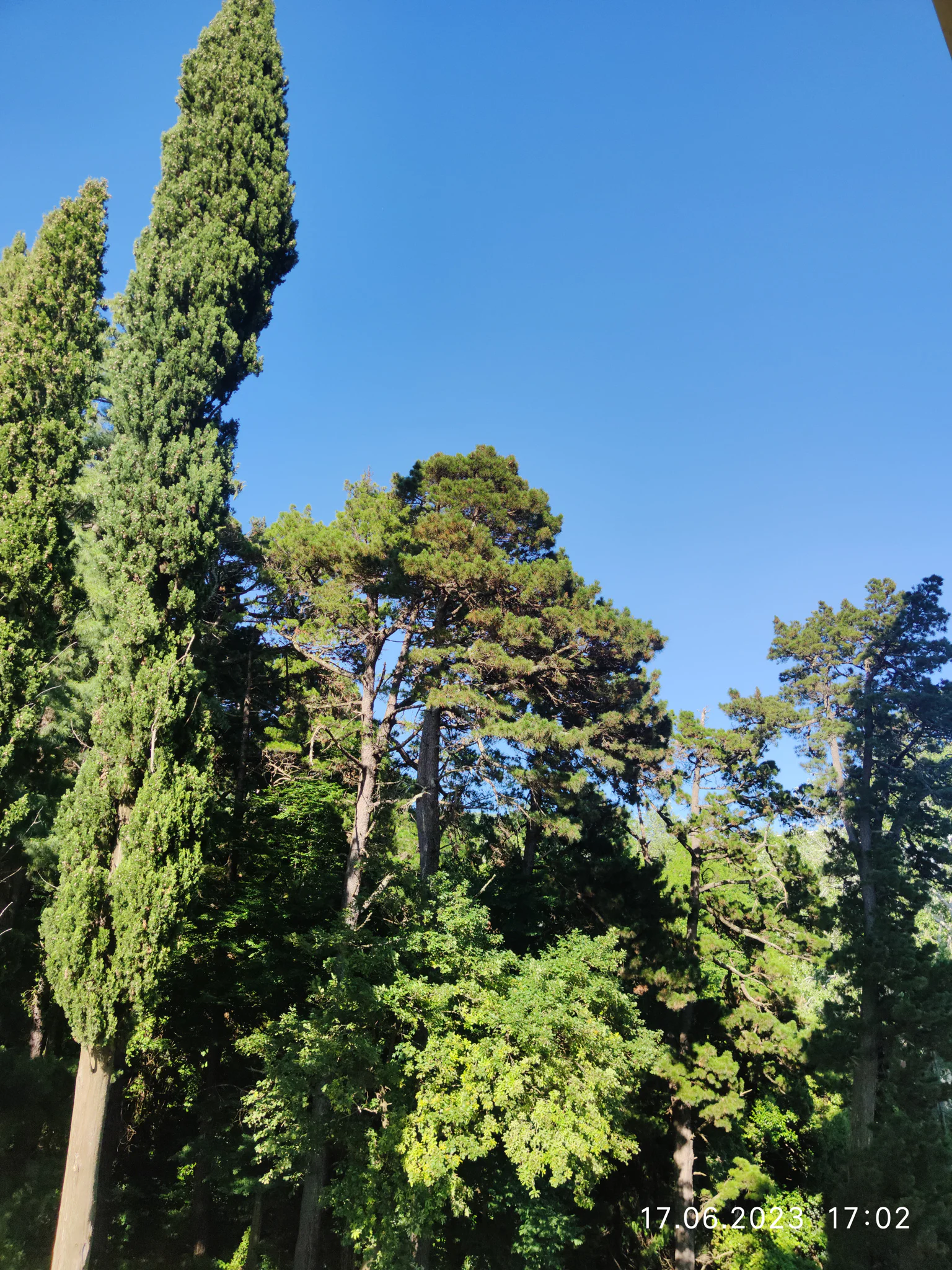 Уютная квартира на Курортном проспекте 4