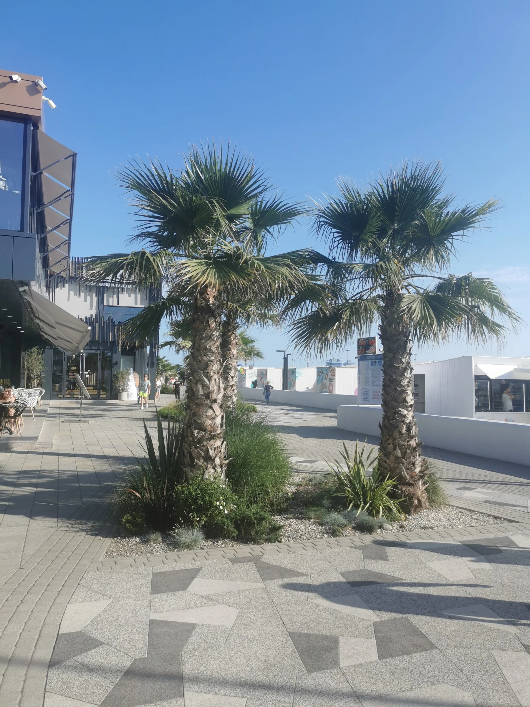 Аппартаменты в Сочи 3