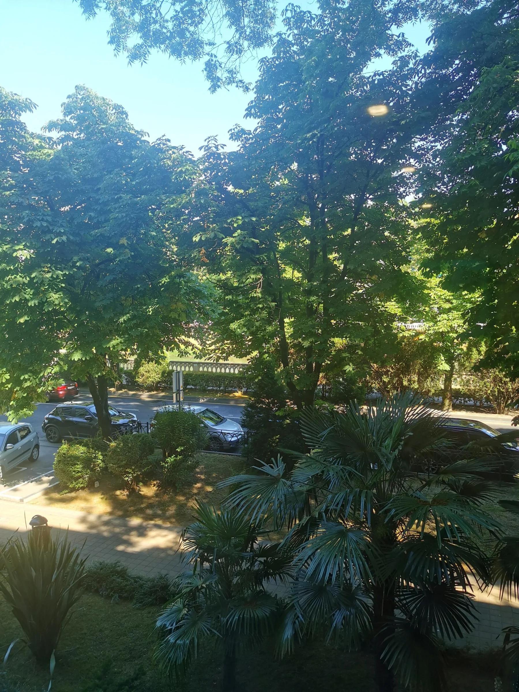 Аппартаменты в Сочи 4