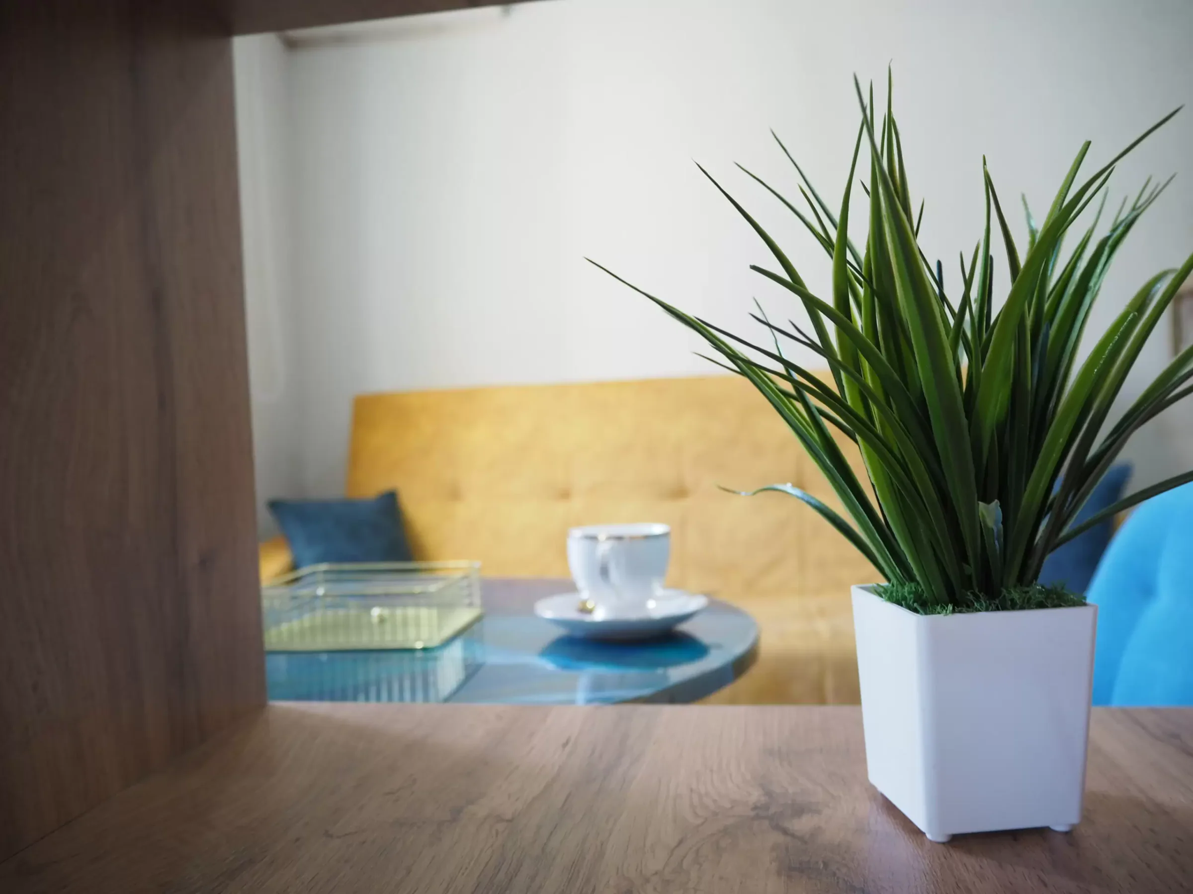 🏢 Снять современную студию в ЖК «Академ Riverside» у ЧелГУ посуточно 13