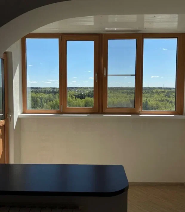 Квартира на сутки в Солнечногорске (Молодежный проезд 3) 4